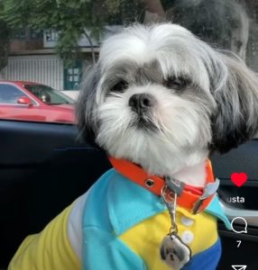 WhatsApp Image 2024-12-04 at 8.56.13 PM