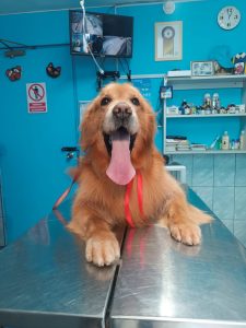 WhatsApp Image 2024-12-04 at 8.56.31 PM