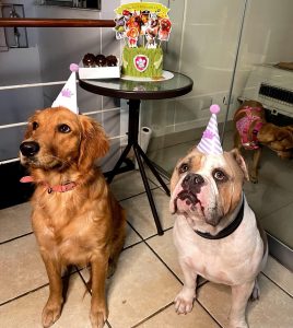 WhatsApp Image 2024-12-04 at 9.37.57 PM