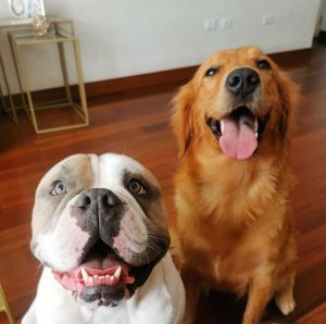 WhatsApp Image 2024-12-04 at 9.38.25 PM