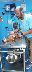 WhatsApp Image 2024-12-04 at 9.39.10 PM