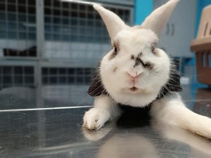 WhatsApp Image 2024-12-06 at 11.18.20 AM