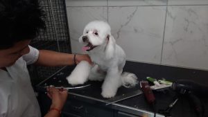 WhatsApp Image 2024-12-06 at 11.19.59 AM