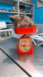 WhatsApp Image 2024-12-06 at 11.20.46 AM